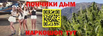 прущие грибы Абакан