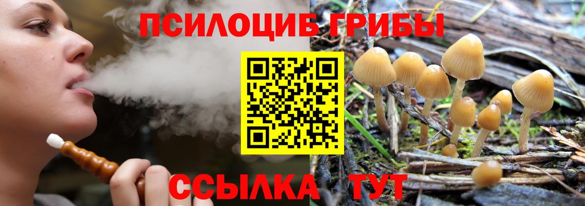 Галлюциногенные грибы Cubensis  купить  сайты  Усть-Илимск  Вход с VPN  Галлюциногенные грибы MAGIC MUSHROOMS 