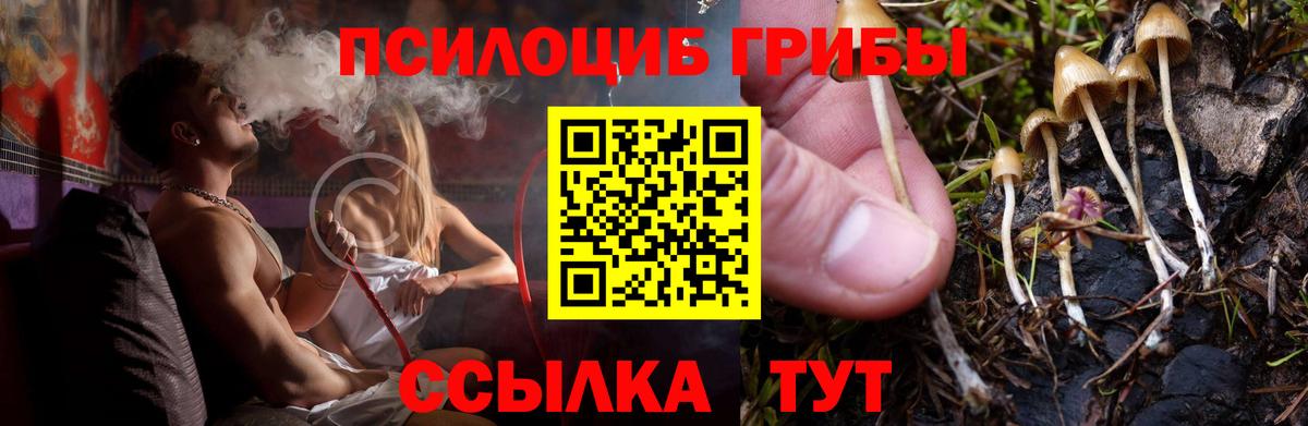 Псилоцибиновые грибы Psilocybine cubensis  Усть-Илимск  купить наркотик  Псилоцибиновые грибы MAGIC MUSHROOMS 